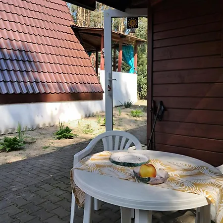 Wakacyjne Nad Jeziorem 山林小屋 *
